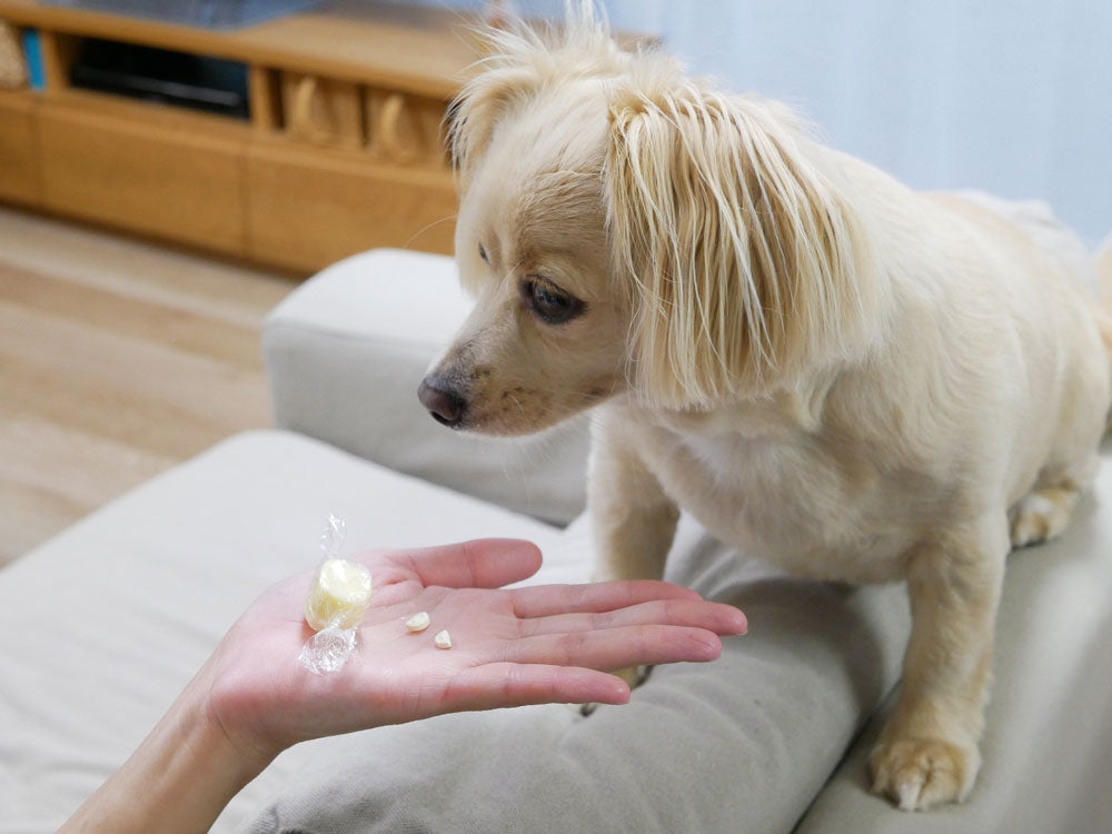 <ARCOS/アルコス>包丁代わりになるテーブルナイフ