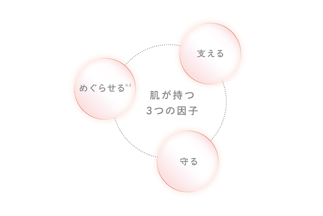 <リファ>リファビューテック レイズ