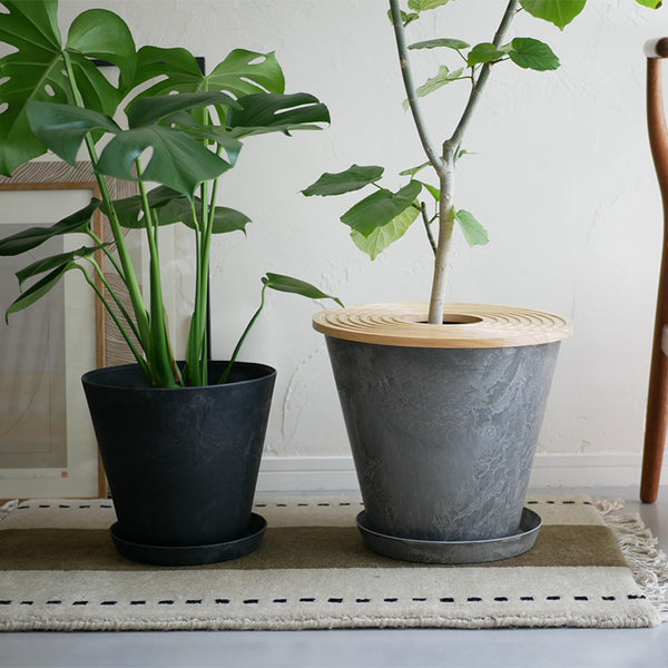 01_ca0cb497-241c-44d0-8a0a-