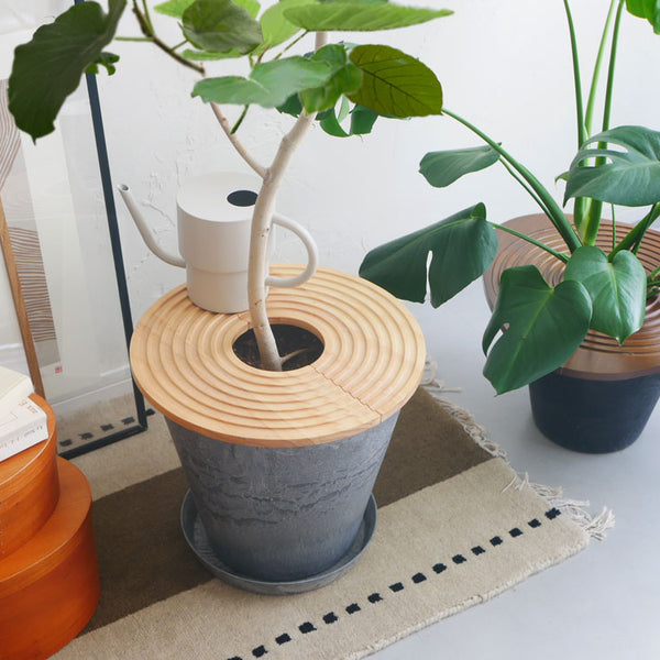 アーネストハーツ Daru 鉢 01_e7b3d119-770f-4991-9d51-