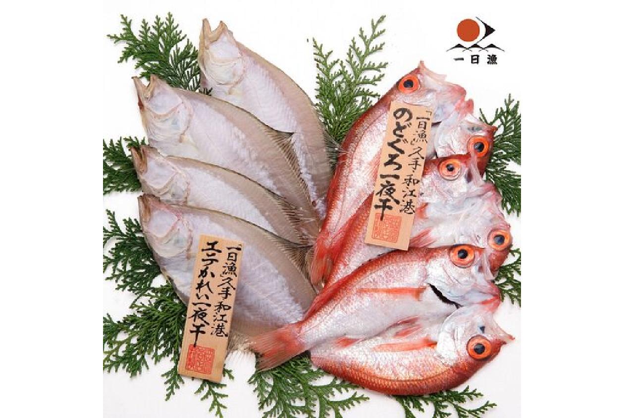 島根 岡富商店 「一日漁」のどぐろ・かれい一夜干