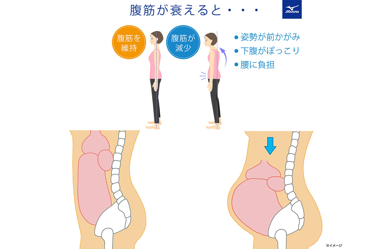 ミズノ＞腹筋プルレプラス – カチモ | カチあるモノで価値ある暮らし