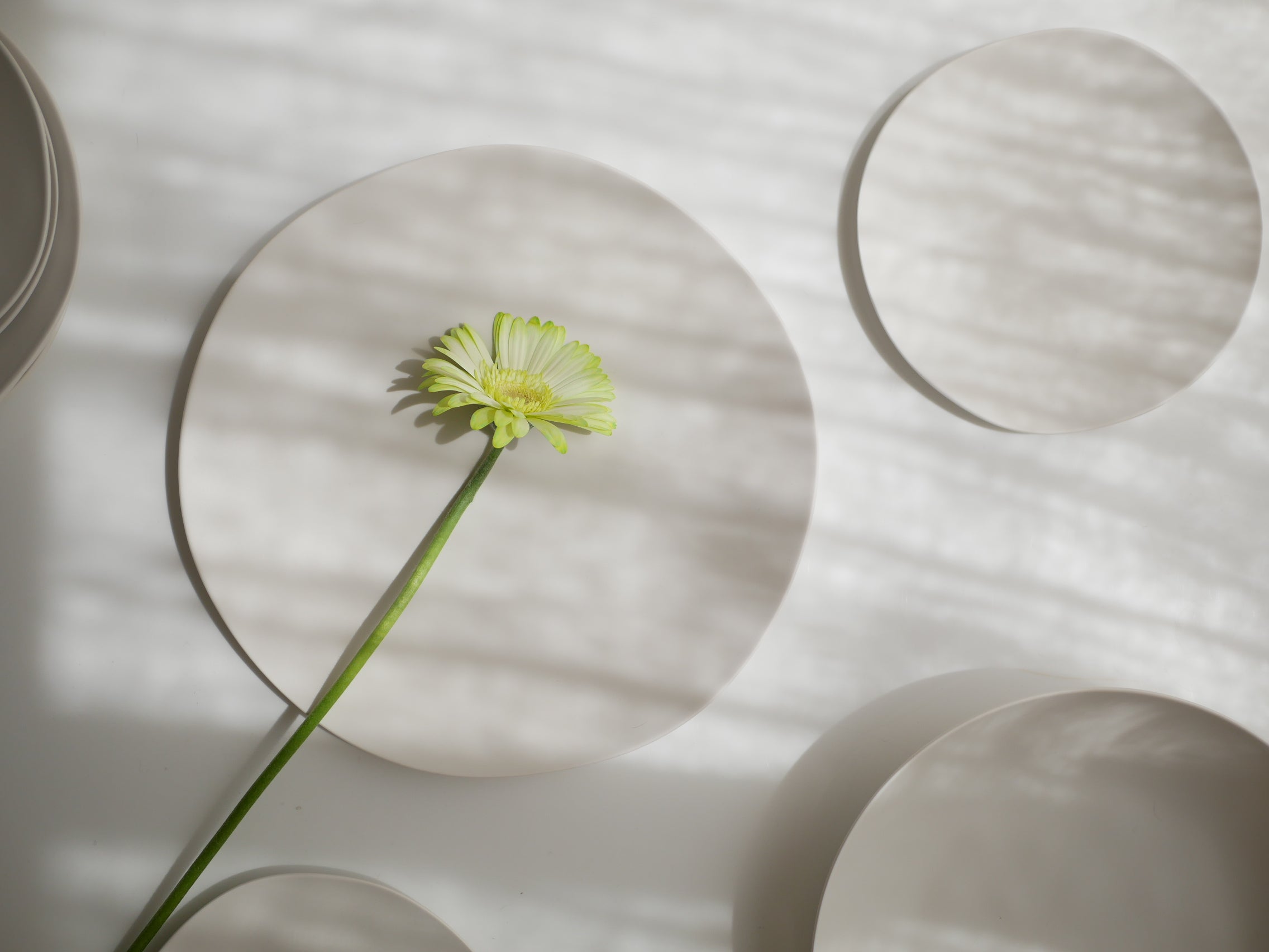 ＜美強皿＞美しくてタフな次世代メラミン プレート・ボウル