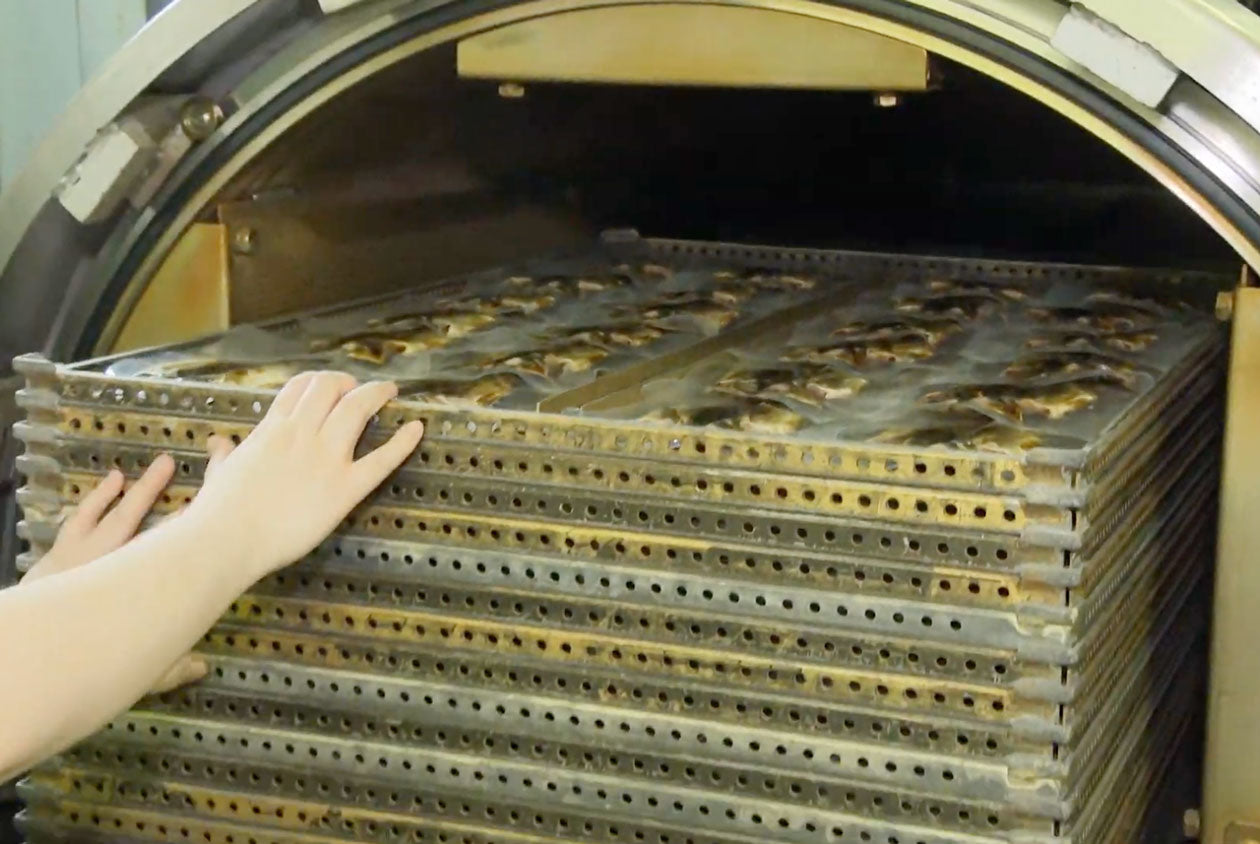 骨まで食べられる焼き魚まるごとくん9枚セット カチモオリジナルセット