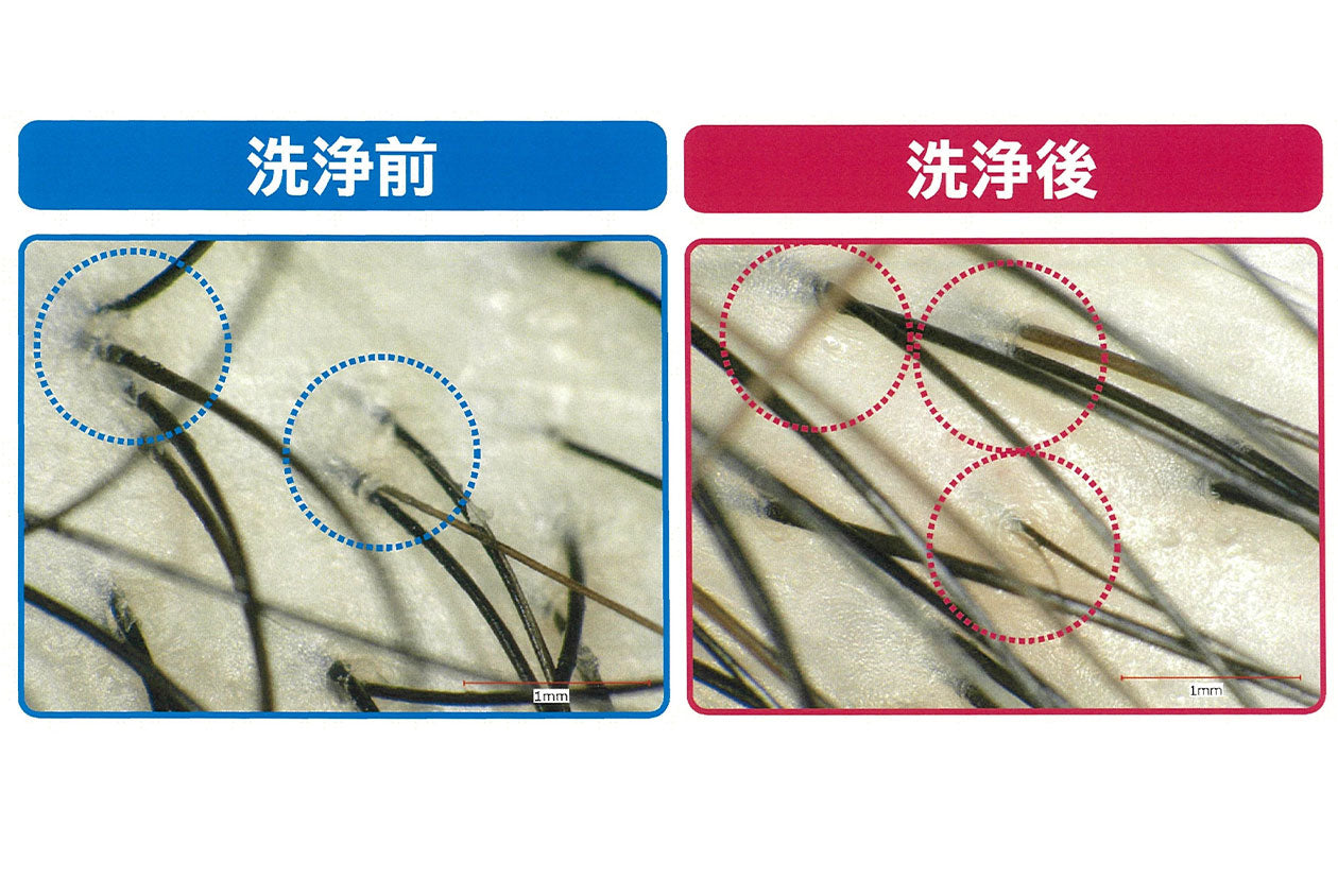 ＜Viva＞ナノバブルシャワーホース＋シルクレインシャワーヘッド セット