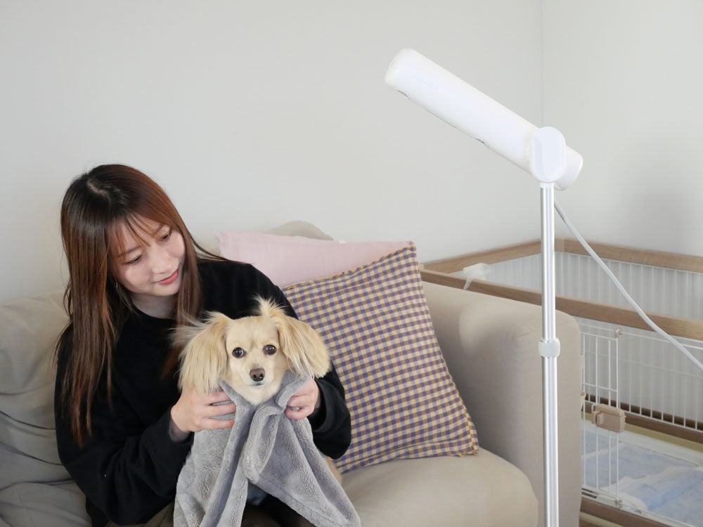 QUADS＞ハンズフリースタンドヘアドライヤー BISARA Light ホワイト