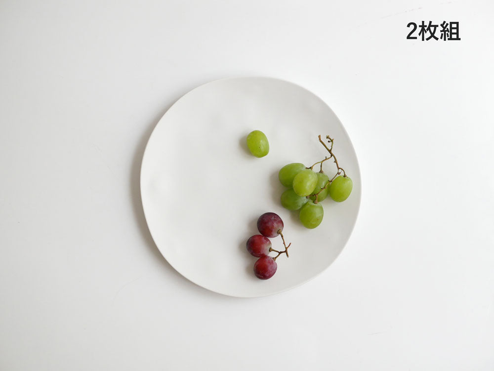 ＜美強皿＞美しくてタフな次世代メラミン プレート・ボウル