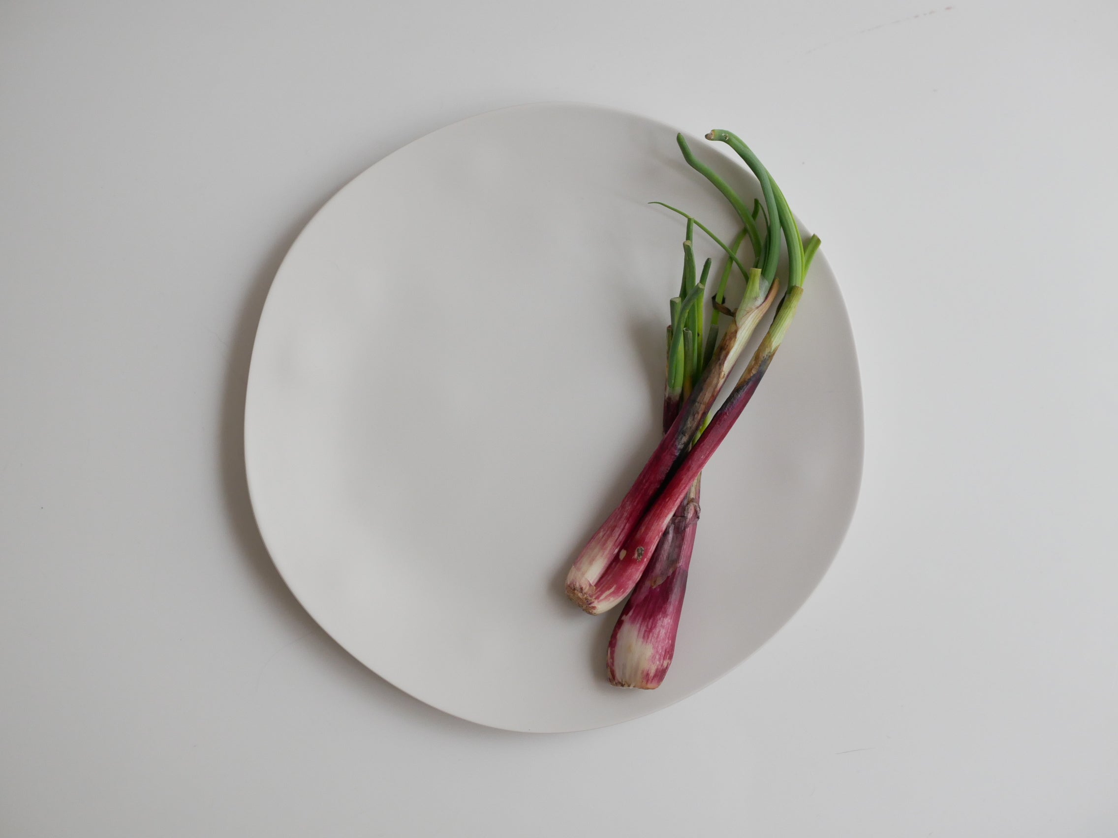 ＜美強皿＞美しくてタフな次世代メラミン プレート・ボウル