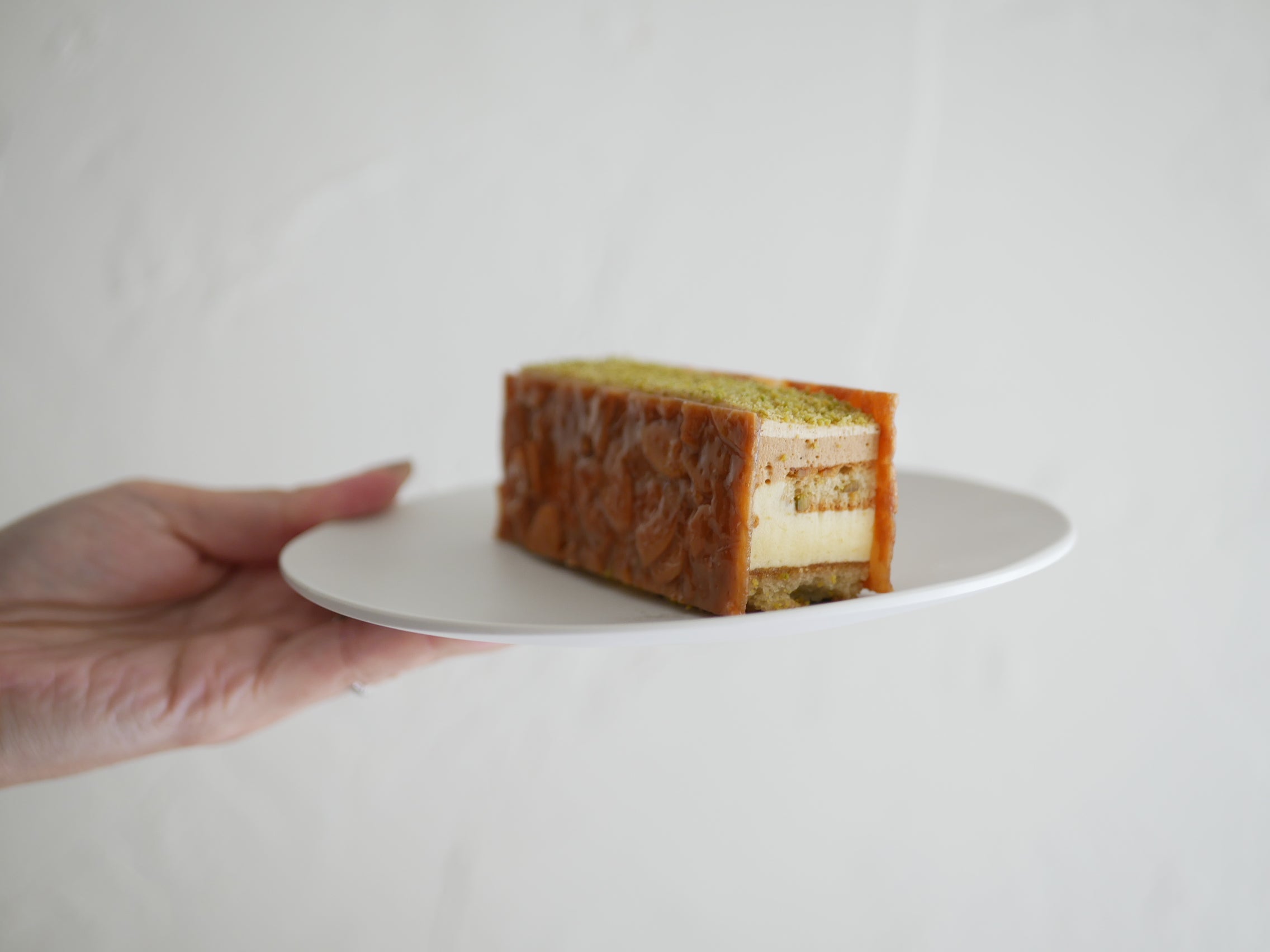 ＜美強皿＞美しくてタフな次世代メラミン プレート・ボウル