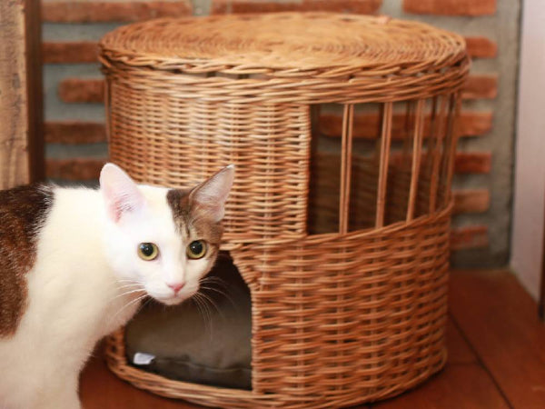 ＜Creer/クレエ＞ねこハウス ふた付き -バイ ジ アラログ-
