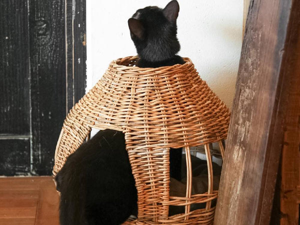 ＜Creer/クレエ＞ねこハウス オニオン -バイ ジ アラログ-