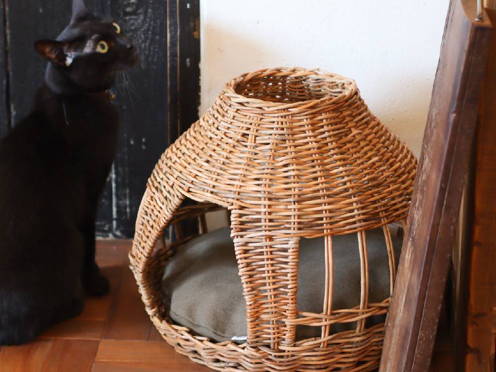 ＜Creer/クレエ＞ねこハウス オニオン -バイ ジ アラログ-