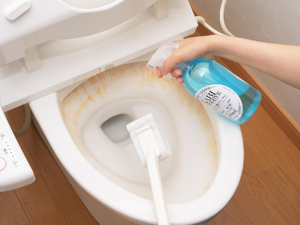 ＜Arnest/アーネスト＞乳酸クリーナーカビグッバイ 500ml