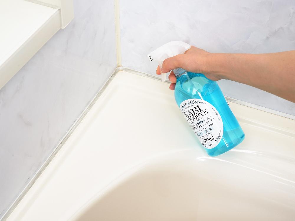 ＜Arnest/アーネスト＞乳酸クリーナーカビグッバイ 500ml