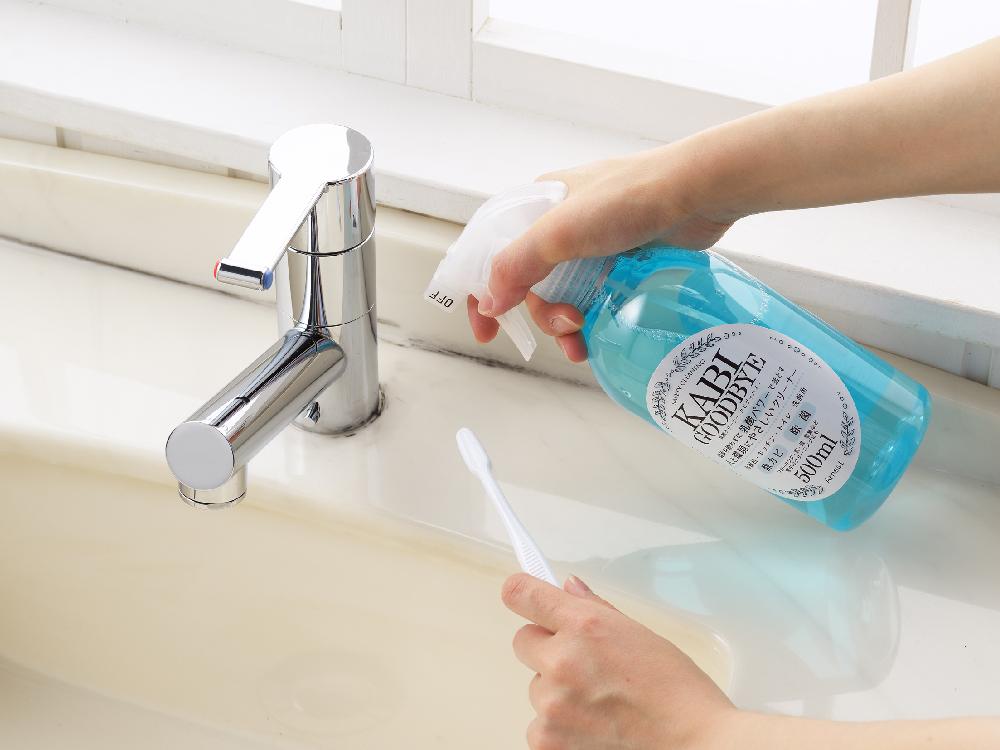 ＜Arnest/アーネスト＞乳酸クリーナーカビグッバイ 500ml