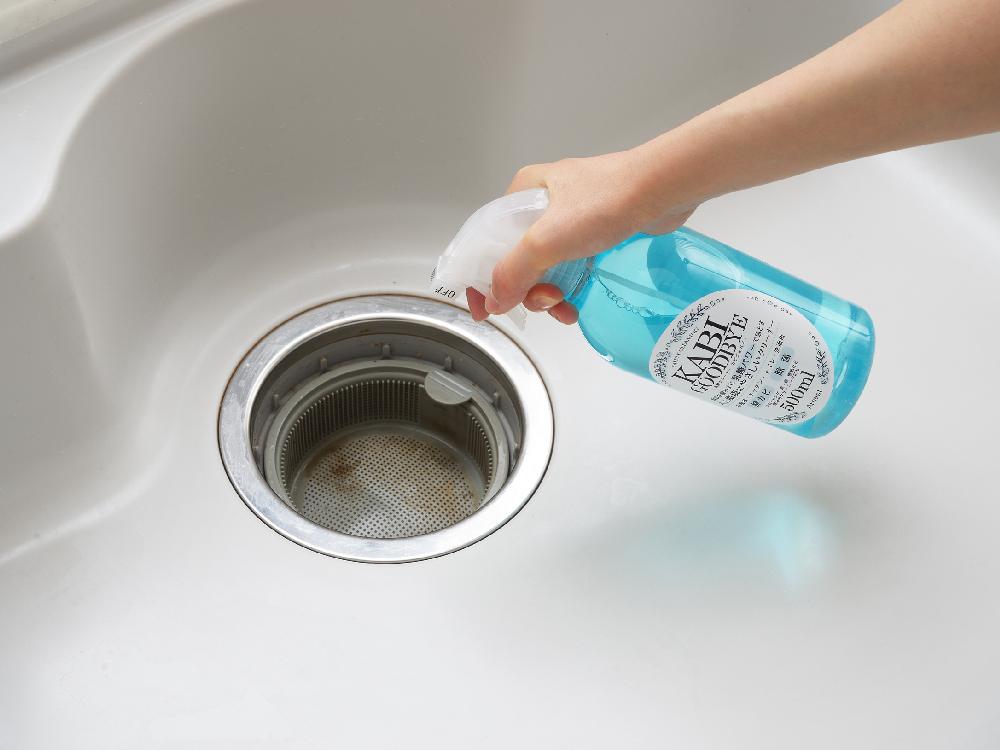 ＜Arnest/アーネスト＞乳酸クリーナーカビグッバイ 500ml