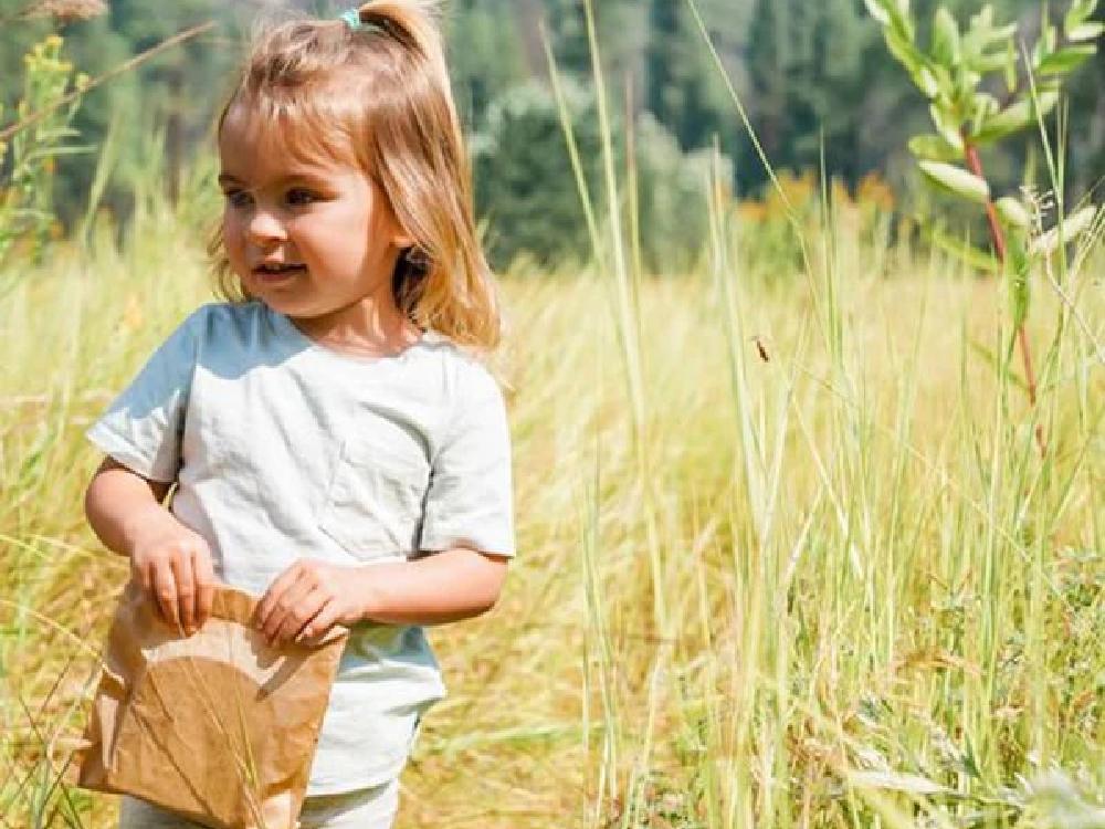 ＜if you care/イフユーケア＞FSC＆コンポスト認証　無漂白スナック＆サンドイッチバッグ（48枚入り)