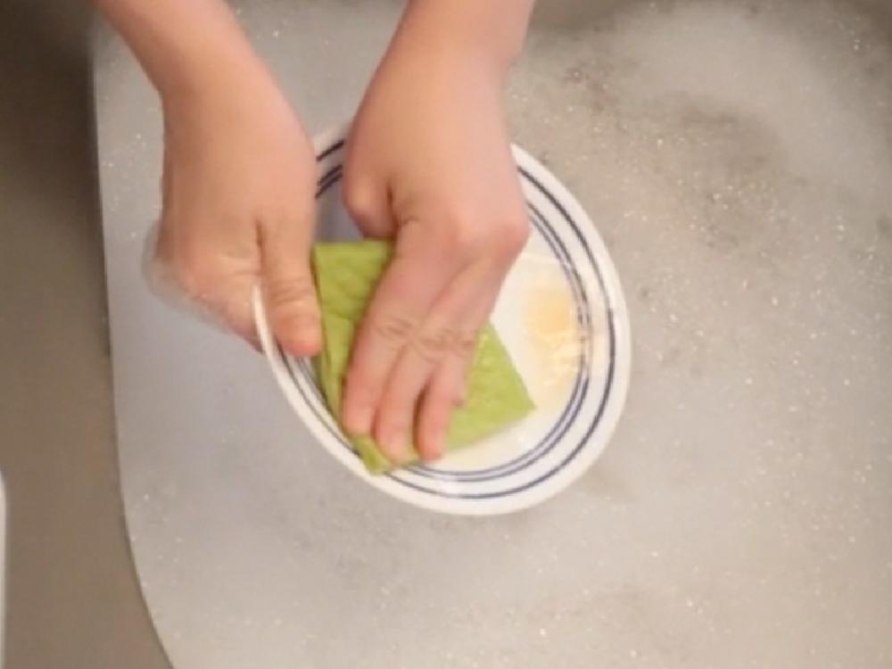 ＜if you care/イフユーケア＞コンポスト&USDAバイオベース認証 100%ナチュラル高吸水スポンジクロス（5枚入）