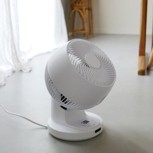 Special Sleeve Selection　冬扇　スリーブ　B 雑貨卸、雑貨仕入れ（【Global Arrow】Natti Sensu 扇子 2025